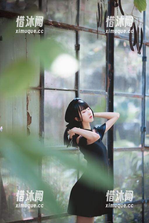 木棉棉OwO 当木棉棉OwO的cos美吐不出来,怀中那只猫却默默抢镜